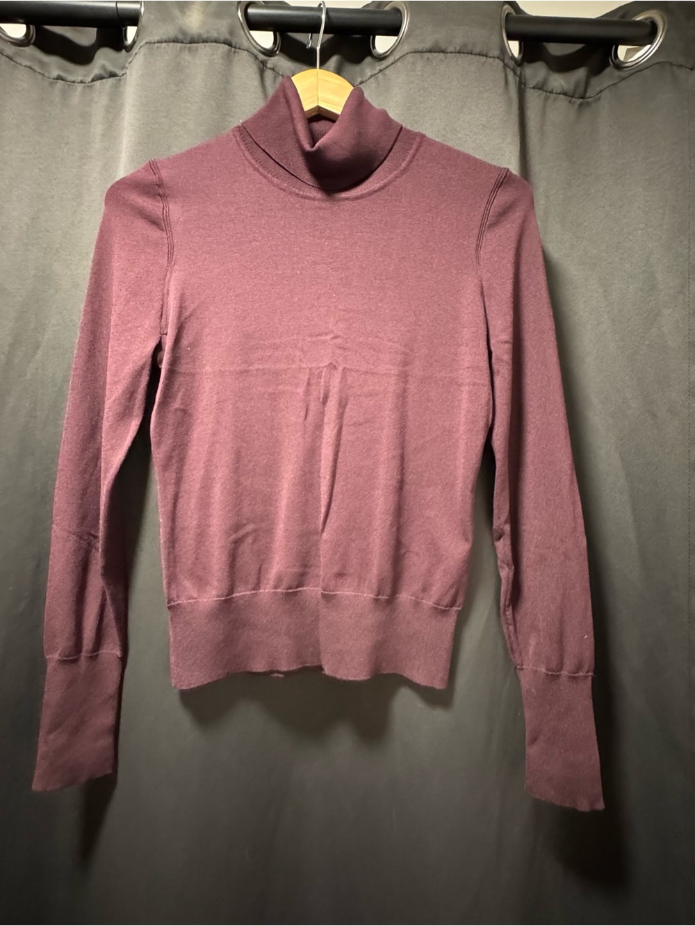 Express Plum Turtleneck Sweater